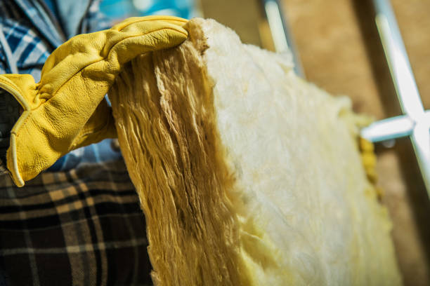 Best Residential Insulation in Umatilla, FL