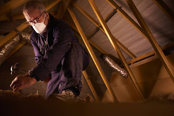Best Insulation Materials and Products in Umatilla, FL